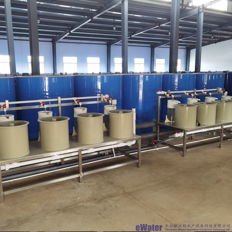 Automatic indoor farming tilapia equipment aquaculture system/smart ras system for tilapia hatchery eggs incubator jars