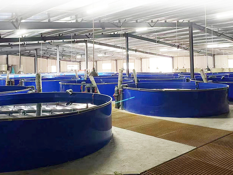 Above Ground Fish Farming Equipment Complete Kit PVC Tilapia Fish Farming Pond On Sale