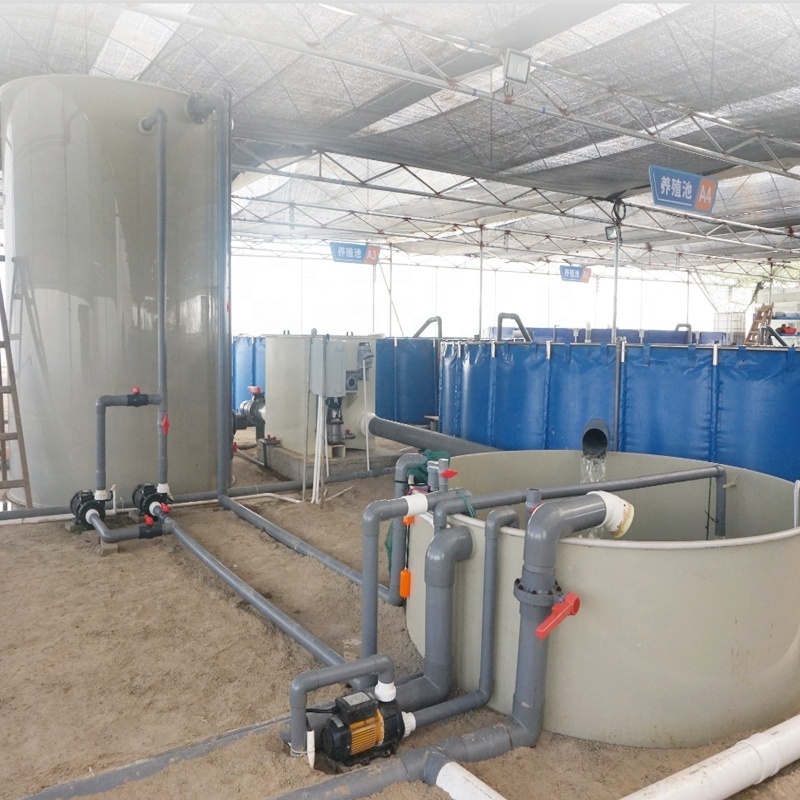 China Indoor Ras Shrimp Farming Equipment And Tilapia Fish Farming Equipment For  Industrial Ras Fish Farming  System