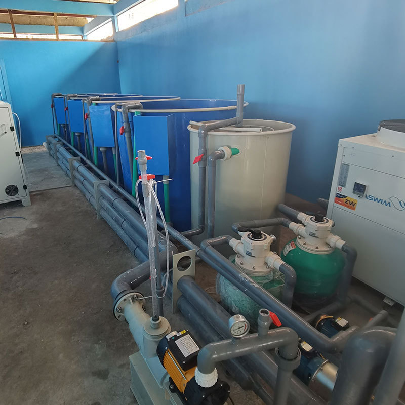 Automatic indoor farming tilapia equipment aquaculture system/smart ras system for tilapia hatchery eggs incubator jars