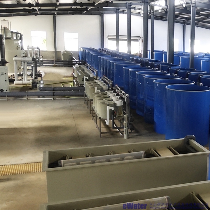 Ewater ras fish farming automatic fish hatchery system and incubator period of fish eggs