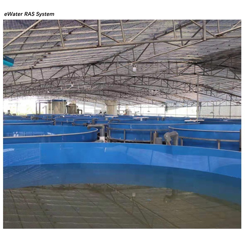 Fish farming aquaculture cecycling ras system equipment bioflock tank for sale