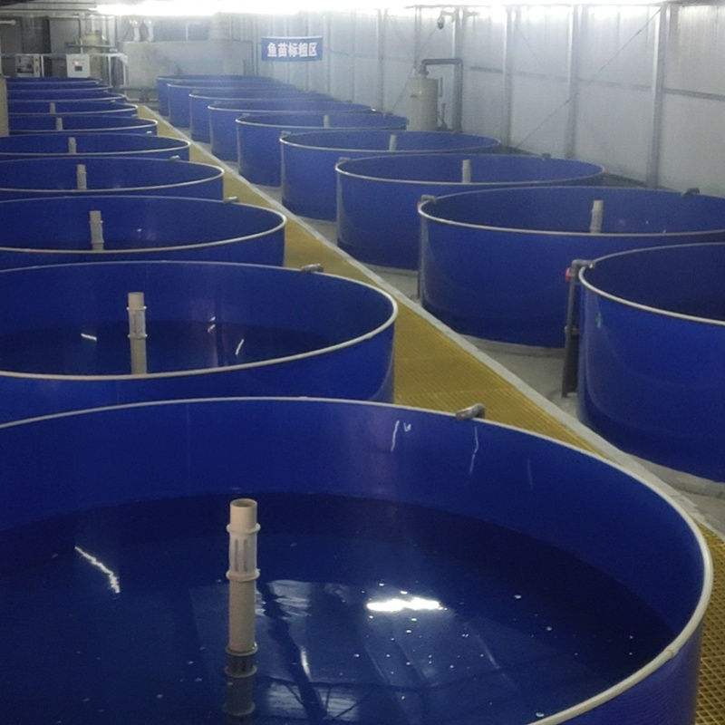 Big brine shrimp egg hatchery incubator system and equipment