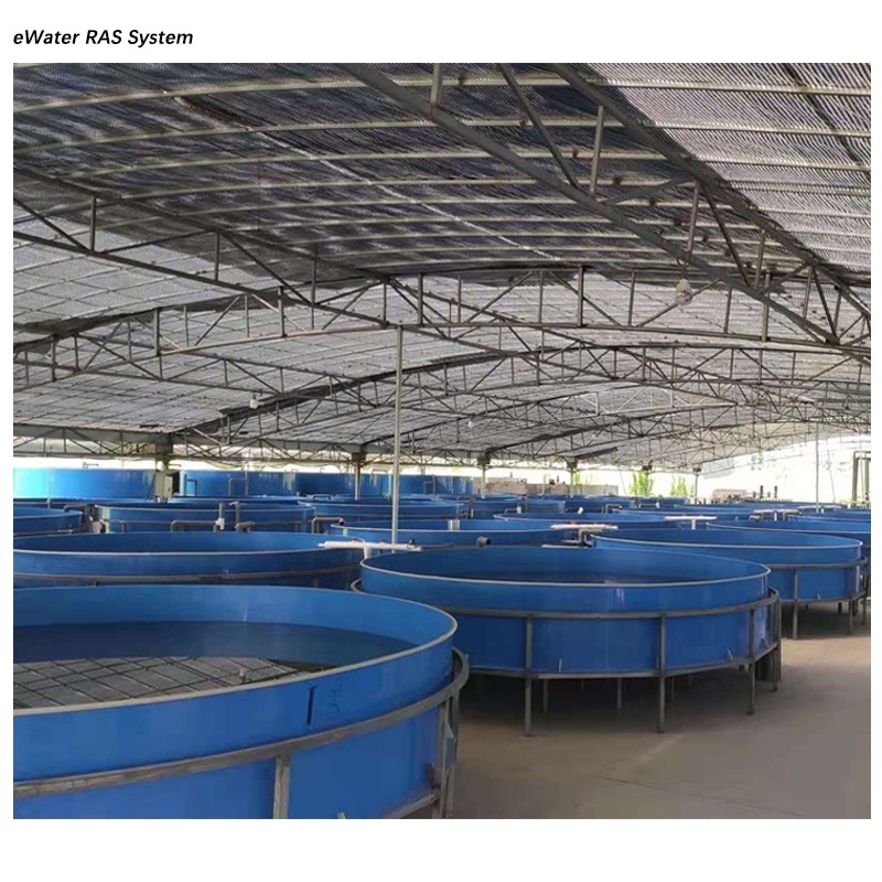 Fish farming aquaculture cecycling ras system equipment bioflock tank for sale