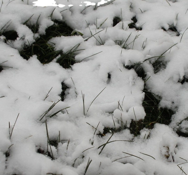 white christmas decoration snow