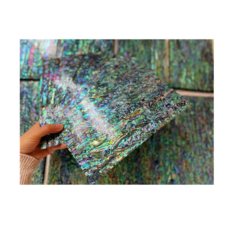 Natural sea shell sheet New Zealand abalone shell sheet with backing paua shell paper for art craft furniture mucial instrument