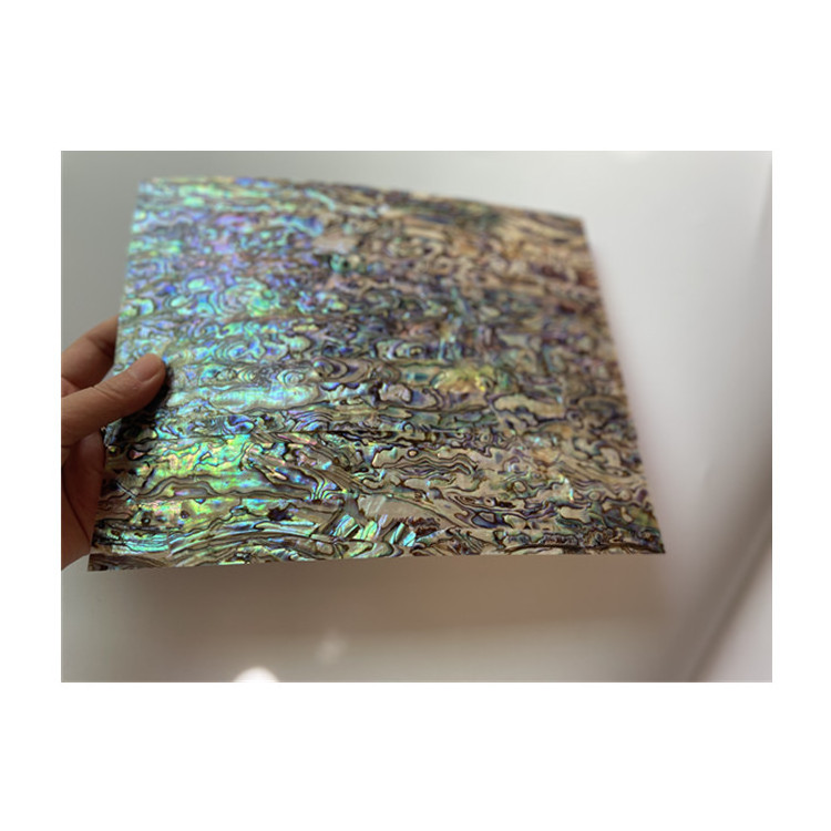 wholesale New Zealand Abalone Shell Sheet mother of pearl shell sheet with mixed colors for art craft home decor furniture DIY