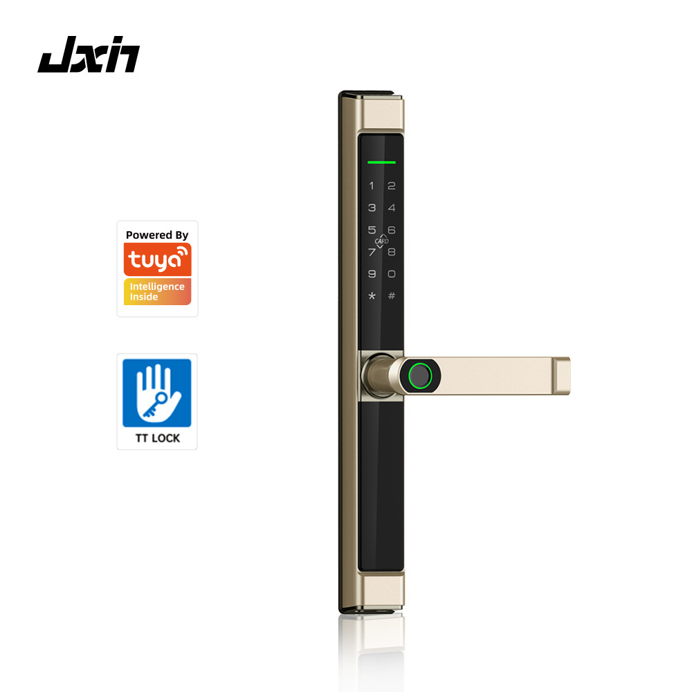 TTLock APP BLE Control Electronic Smart Fingerprint Lock for Aluminium Sliding Door