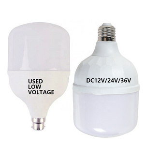 Economy Price Low Voltage Good Quality E27/B22 DC 12V 24V LED Light Bulb T80 T90 T100 Bombillas LED Lamp