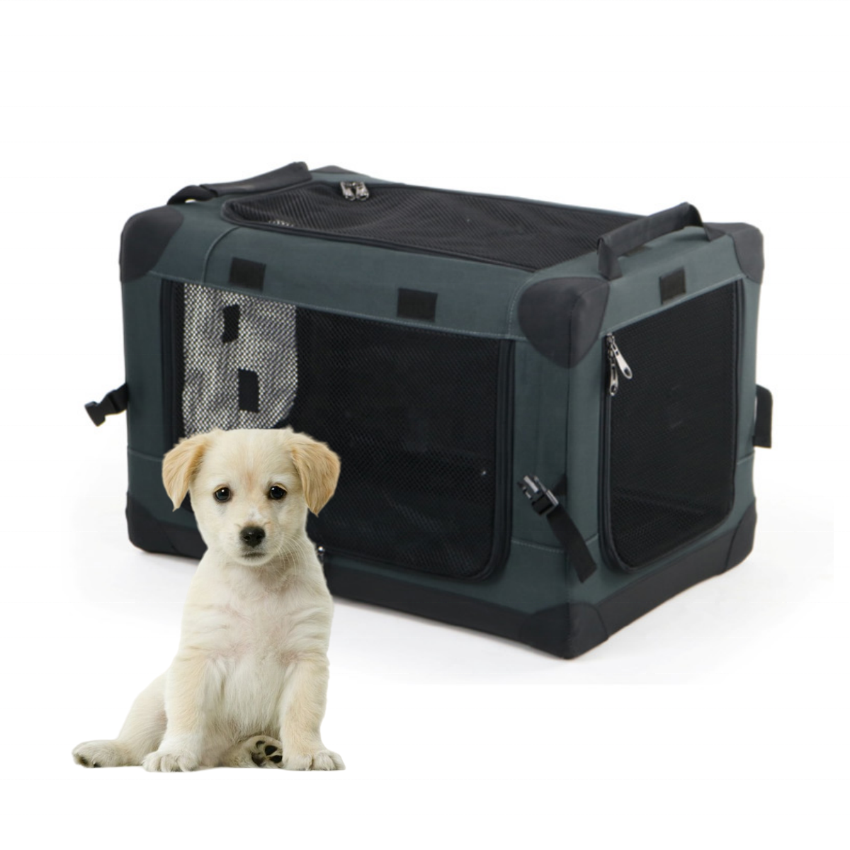 Air Plane Pet Transport Box Custom Multi-function Lightweight Comfortable Breathable Portable Plastic Pet Dog Kennel