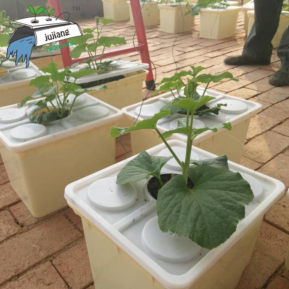 Hydroponic dutch bucket- one hole lid