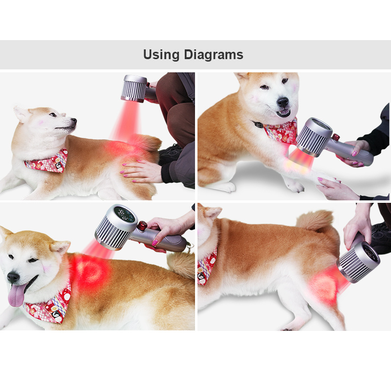 High-Power Veterinary Laser Therapy Device for Equine Surgical Medical Treatment for dog