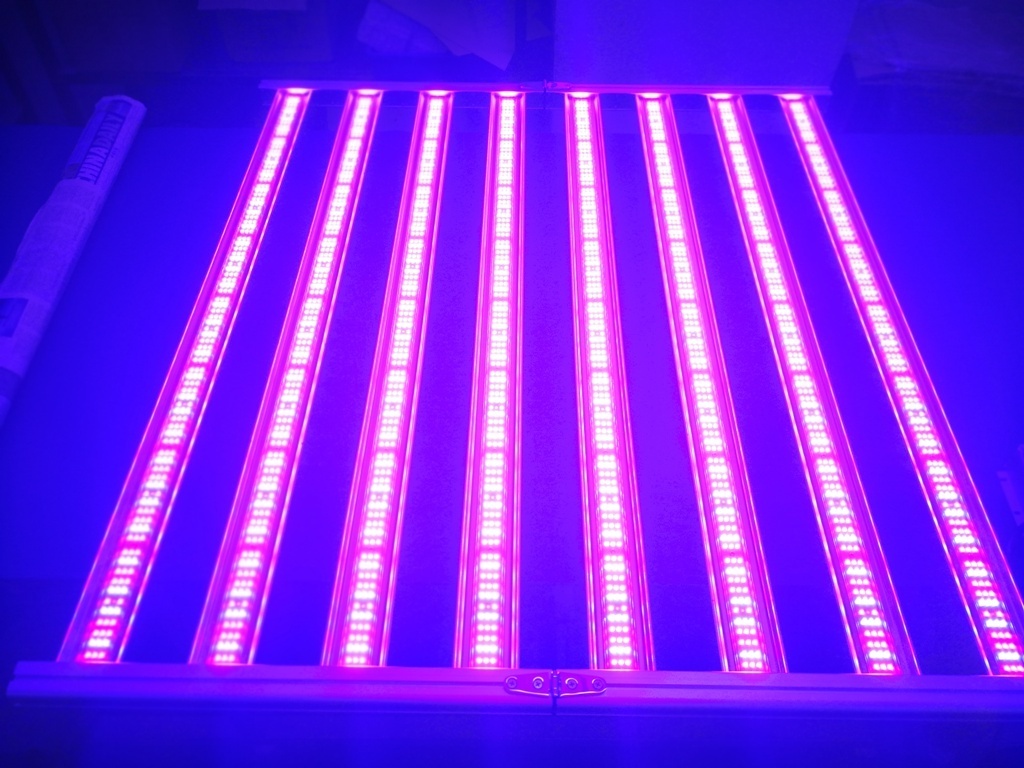 DLC ETL listing Most Powerful High PPFD DIY tent growing 720w led grow light from Hortibloom