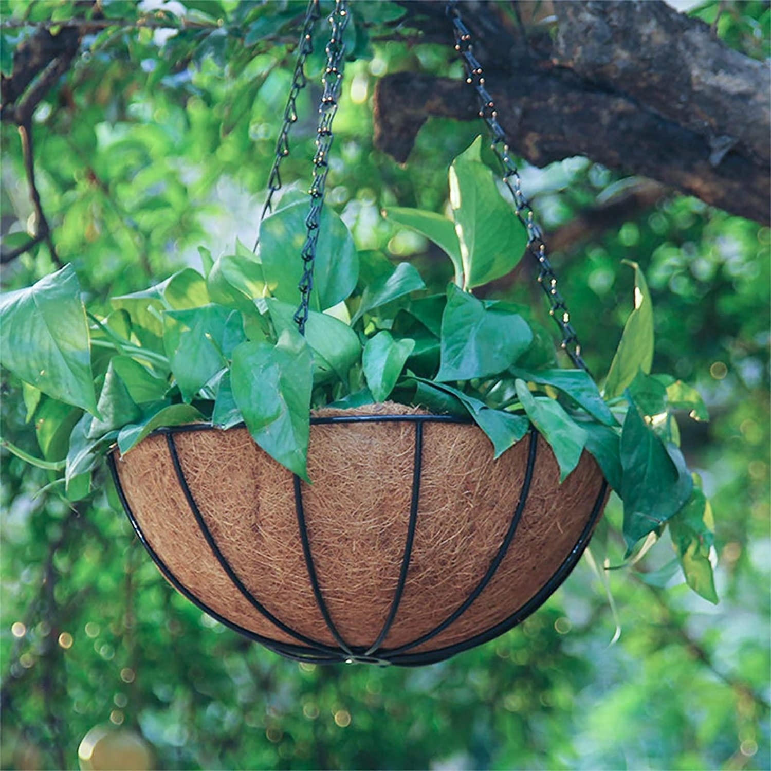 Metal Hanging Planters Basket Set of 3 Hanging Flower Pots 12 Inch Chain Round Wire Plant Holder with Coco Coir Liner for Garden