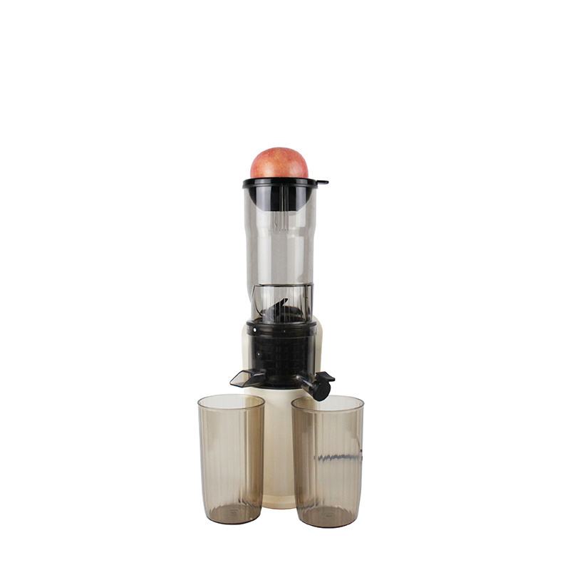 Small kitchen appliances mini portable big mouth cold press slow juicer wheatgrass carrot orange juicer