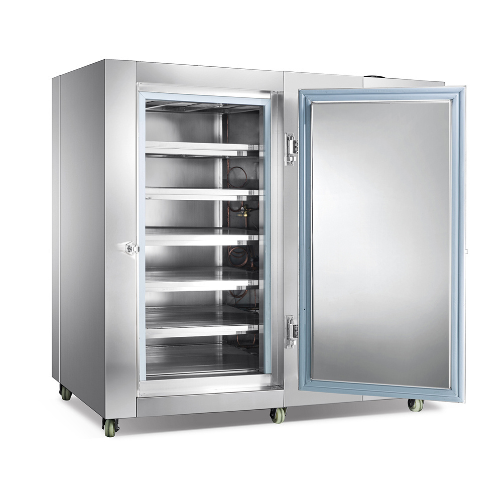 Trolly type Blast freezer cabinets shock freeze for deep-sea fish food Restaurant Kitchen freezer