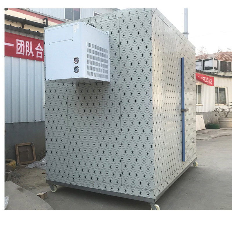 freezer container 20ft cold storage room cold storage warehouse equipments for sale