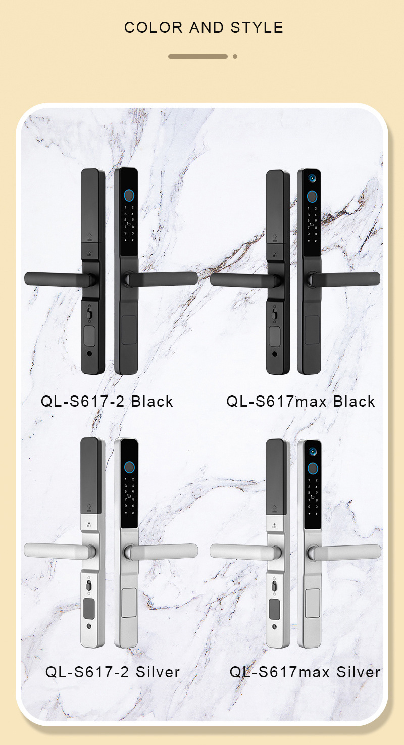 Waterproof S617-2 Password Fingerprint Card Handle Optional With Tuya TTlock Remote Control Smart Handle Lock