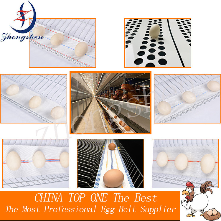 High Quality Bacteriostatic Polypropylene  Poultry Chicken Farm Egg Conveyor Belt