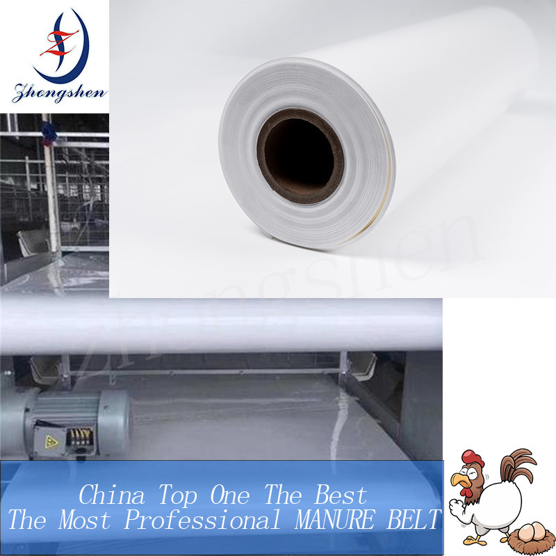 Chicken Cages Egg Layer Battery Cages Poultry Equipment Automation Polypropylene PP Manure Belt