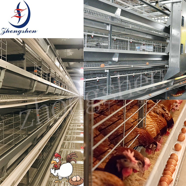 High Quality Bacteriostatic Polypropylene  Poultry Chicken Farm Egg Conveyor Belt