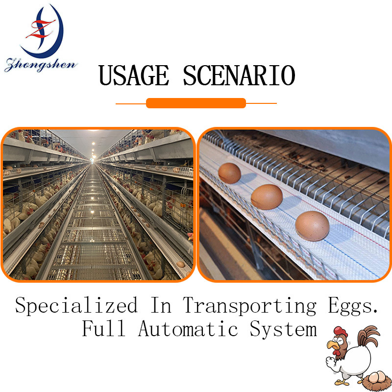 Wholesale Best Seller Egg Conveyor Belt for Chicken Layer Farm With good service