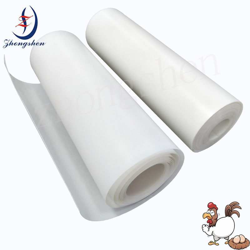 Chicken Cages Egg Layer Battery Cages Poultry Equipment Automation Polypropylene PP Manure Belt