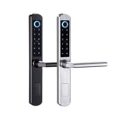 Taichen SUS304 Outdoor waterproof security lock with digital password card fingerprint TTLock APP smart electronic lock