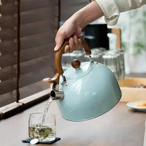 Whistling Kettle Light Green Spray Paint Sound Kettle Stainless Steel Camping Teapot Teapots to Boil Water Whistle Gas Stove