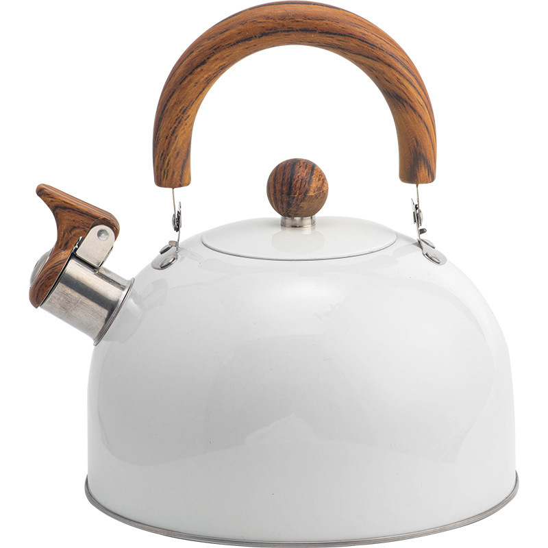 Whistling Kettle Light Green Spray Paint Sound Kettle Stainless Steel Camping Teapot Teapots to Boil Water Whistle Gas Stove