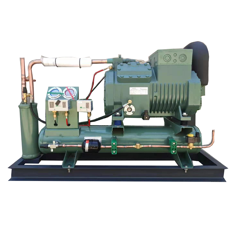 Industrial Monoblock Air Cooled Refrigeration Unit Blast Freezer Heat Exchanger Equip Piston Compressor Condensing Unit of Bitze