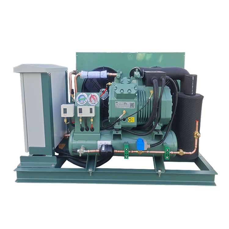 Industrial Monoblock Air Cooled Refrigeration Unit Blast Freezer Heat Exchanger Equip Piston Compressor Condensing Unit of Bitze