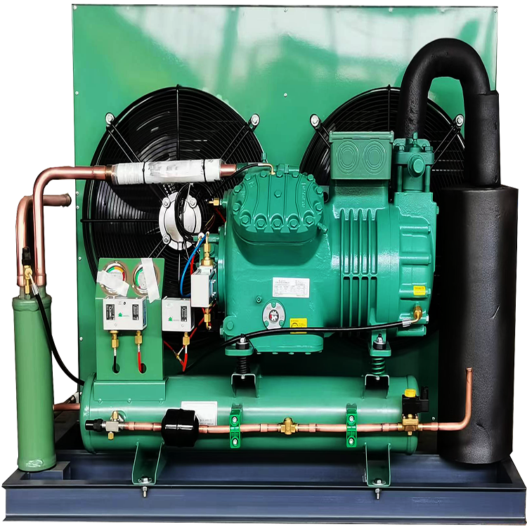 Industrial Monoblock Air Cooled Refrigeration Unit Blast Freezer Heat Exchanger Equip Piston Compressor Condensing Unit of Bitze