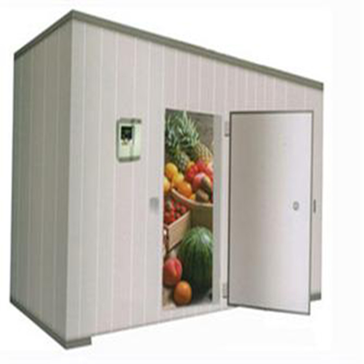 Cool Blast Freezer Equipment Solar Powered Cold Rooms Walk In Freezer container For Vegetables