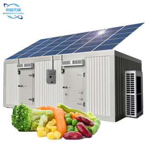 Cool Blast Freezer Equipment Solar Powered Cold Rooms Walk In Freezer container For Vegetables