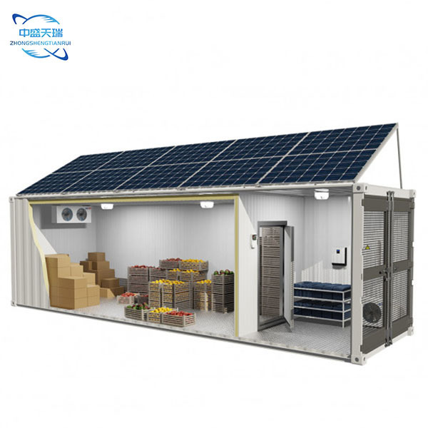 Cool Blast Freezer Equipment Solar Powered Cold Rooms Walk In Freezer container For Vegetables