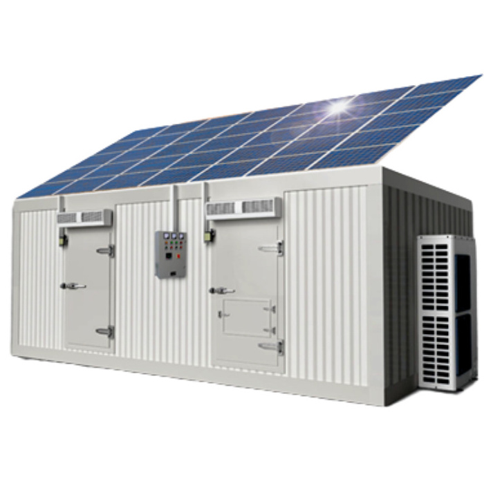 Solar Powered Cold Chain Units Center Mount Evaporator Walk In Freezer for Refrigeration