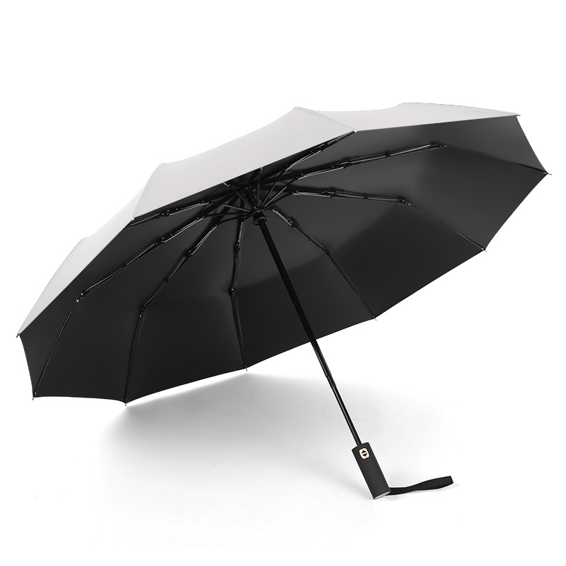 Travel Umbrella Windproof Auto Open And Close umbrella for rain and sun