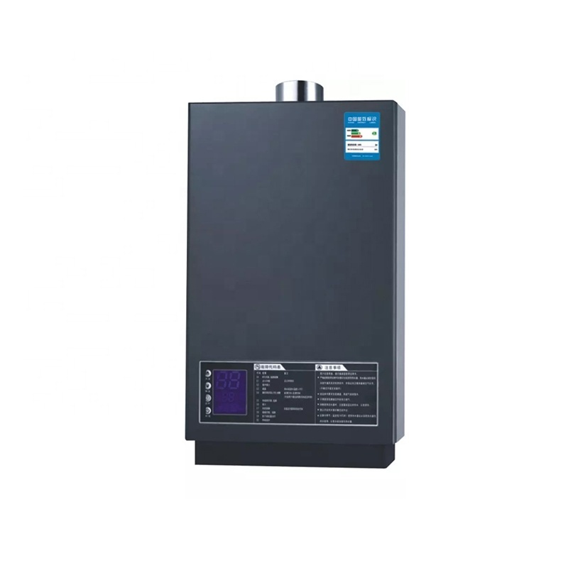 Chinese Supplier Wholesales 16L Forced Type Instant Tankless Gas Water Heater