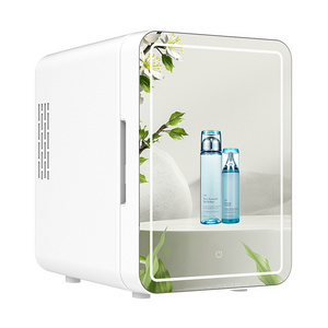 Professional SkinCare TableTop  Fridge Car 12V Beauty Refrigerator  Mini Fridge with Glass  Door