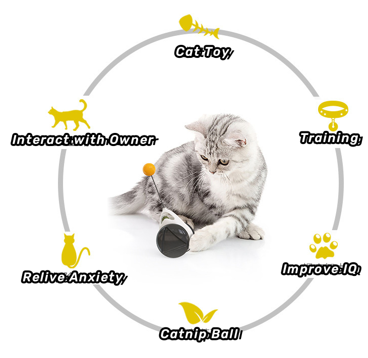 Best Selling Interactive Tumbler Swing Cat Toy Food-Grade Plastic Kitten Balance Car Toy with Catnip Sustainable and Fun Cat Toy