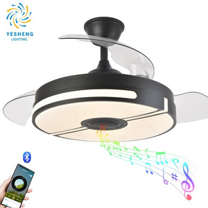 Y038 110V 220V 42inch fan ceiling fan hidden blades with speaker