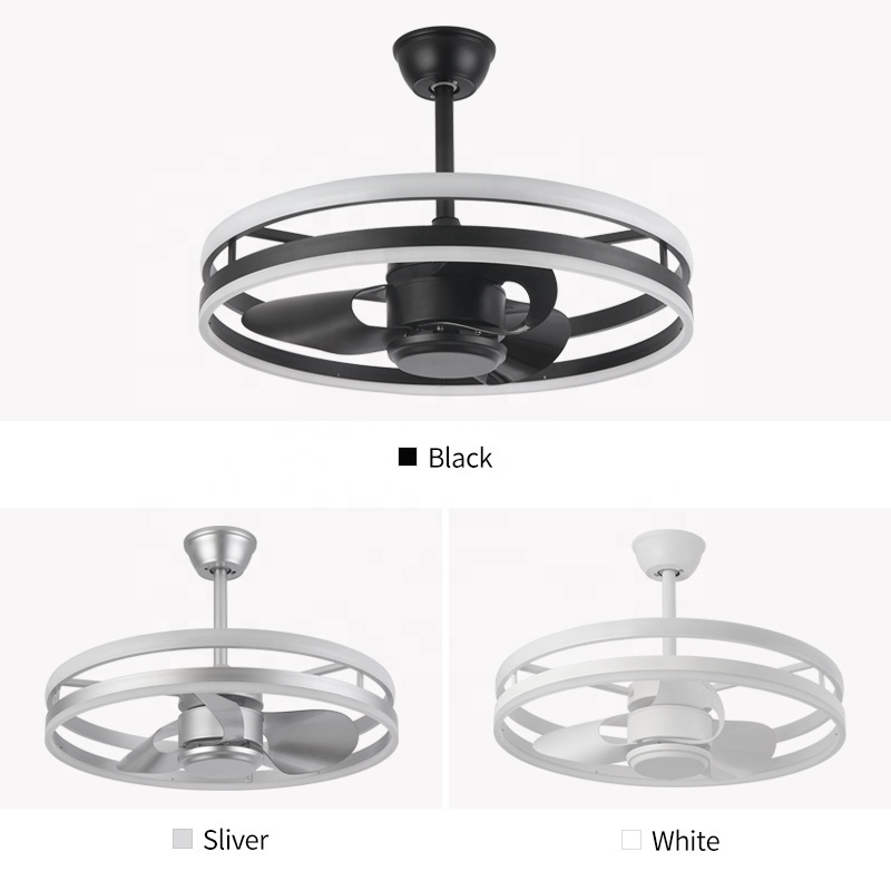 D048 chandelier ceiling fan with light with remote 65cm 3 color  Simplicity fan chandelier