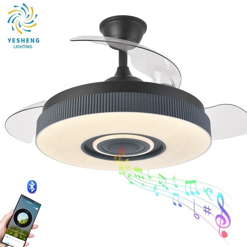 Y037 110V 220V 42inch fan ceiling fan hidden blades with speaker