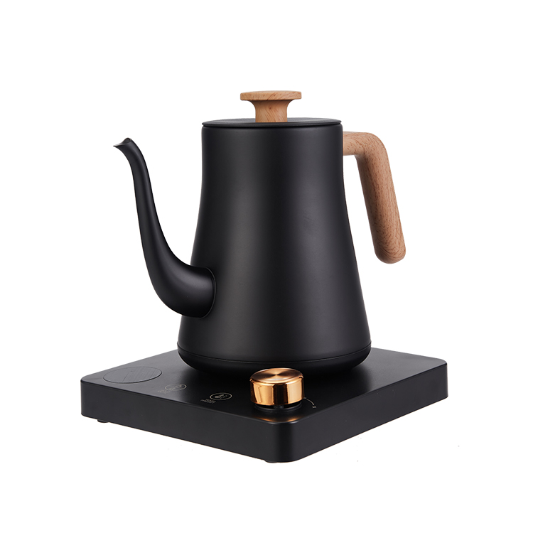 Electric kettle with multi-stage temperature adjustment and rotating base, exquisite coffee pot