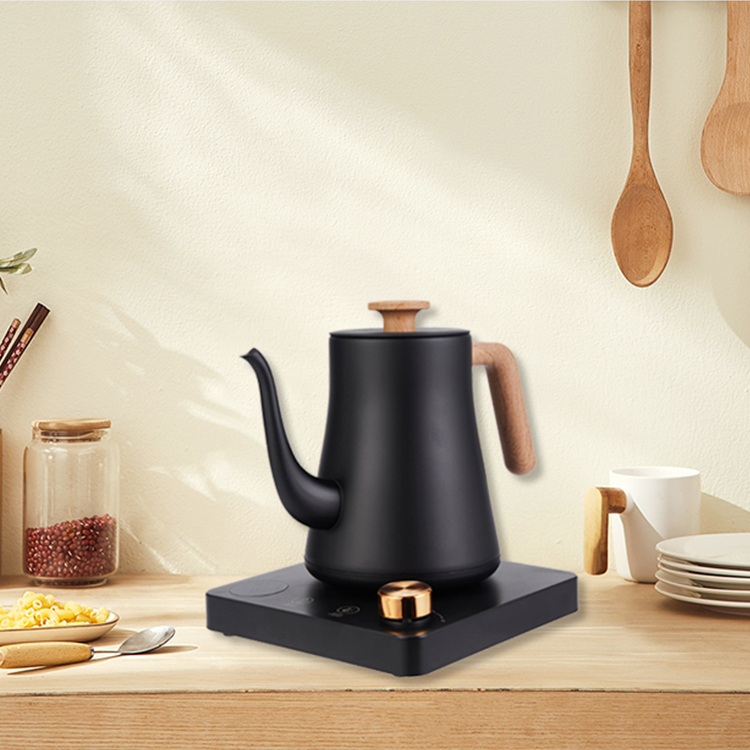 Electric kettle with multi-stage temperature adjustment and rotating base, exquisite coffee pot