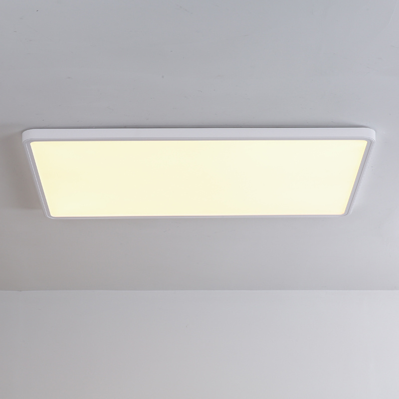 Luxury Minimalist Plastic Surface Mounted Black White  Ultra Thin Modern Led Ceiling Light For Home and Office