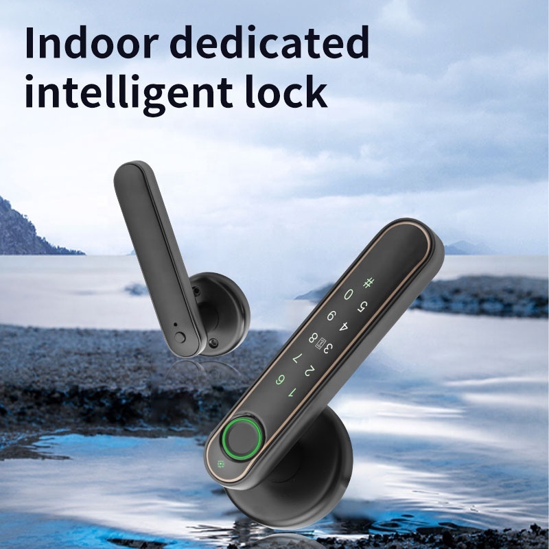 Smart Door Knob Bluetooth Keyless Entry, Fingerprint Door Lock for Bedroom - App, Card, Password, Key, and Fingerprint Unlock