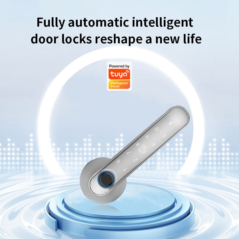 Tuya Bluetooth lock Double tongue high quality waterproof silver wooden door fingerprint lock cheap price smart door lock