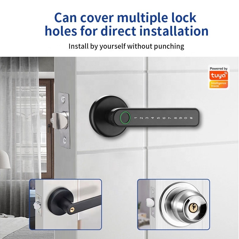 Electric Electronic Handle Digital Tuya Ttlock Cerraduras Inteligentes Con Wifi Keys Fingerprint Interior Zigbee Door Locks